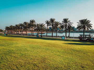 READ THIS BEFORE YOU LAND IN QATAR