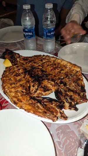 Danat Al Bahara - The number one fish in Qatar - Sidxt